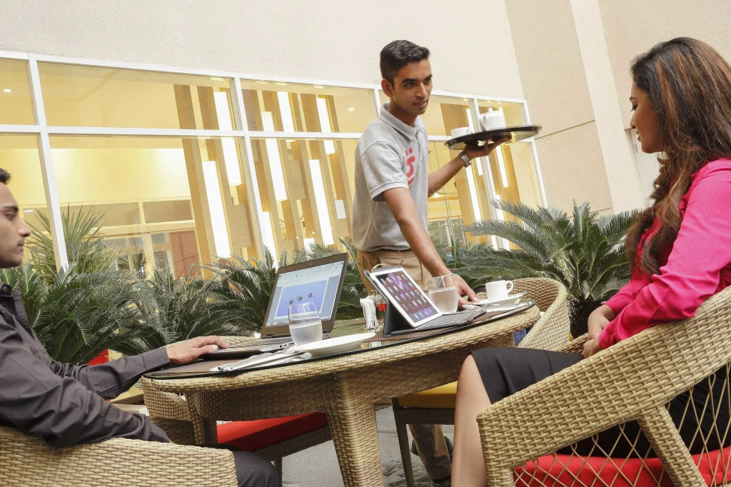 ibis Hyderabad Hitech City Hotel - Général