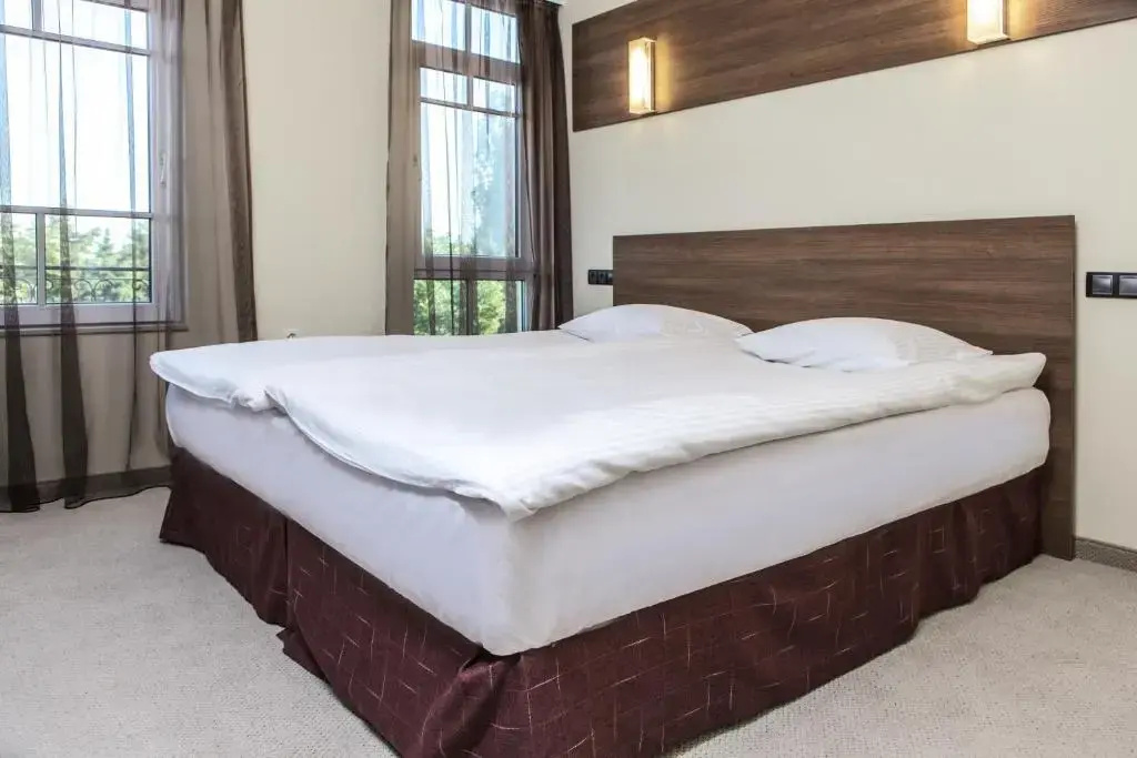 Standard Double room (full double bed)
