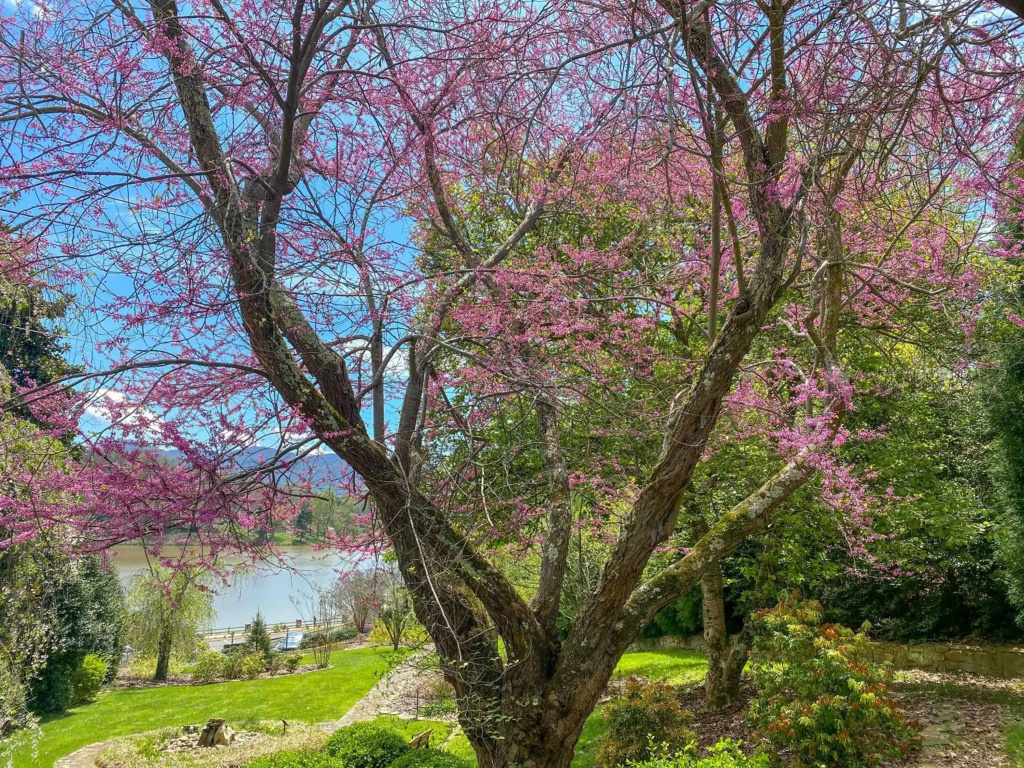 Lake Junaluska Conference & Retreat Center