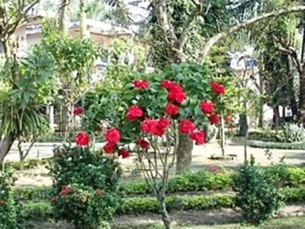 Rhino Lodge & Hotel