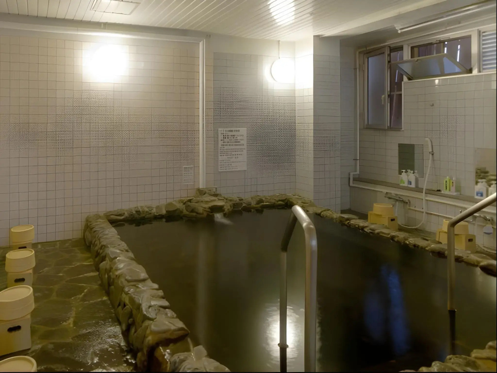 Hitoyoshi Ryokan - Général