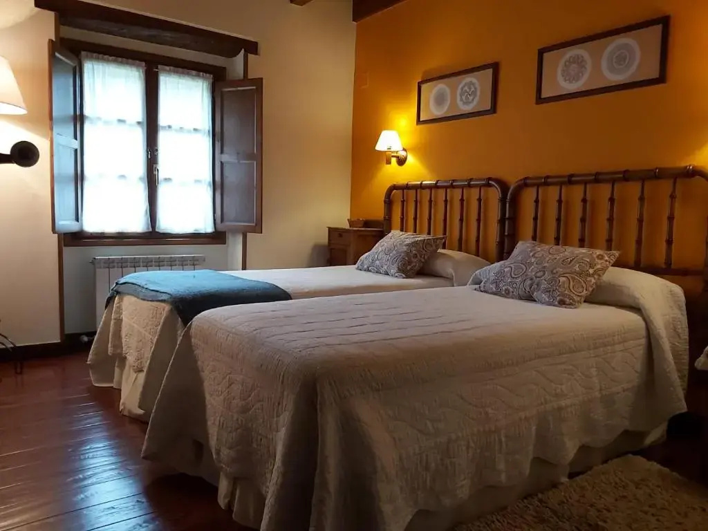 Standard Double room with mountain view (twin beds)