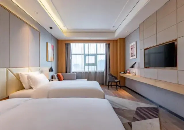 Standard Double room (twin beds)