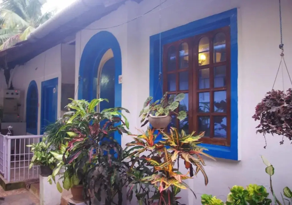 Zappia Cove Eco Resort