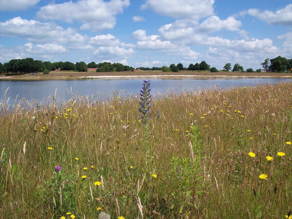 Image 13