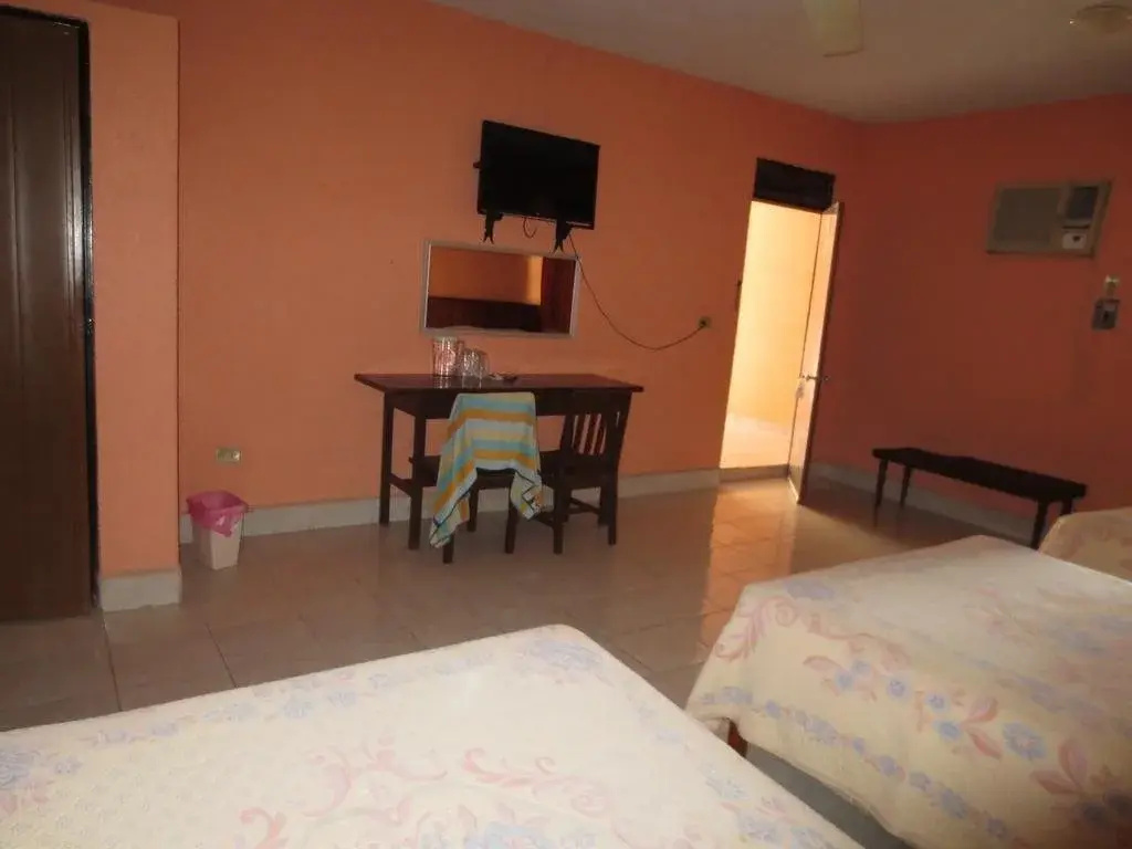 Hotel photo 13