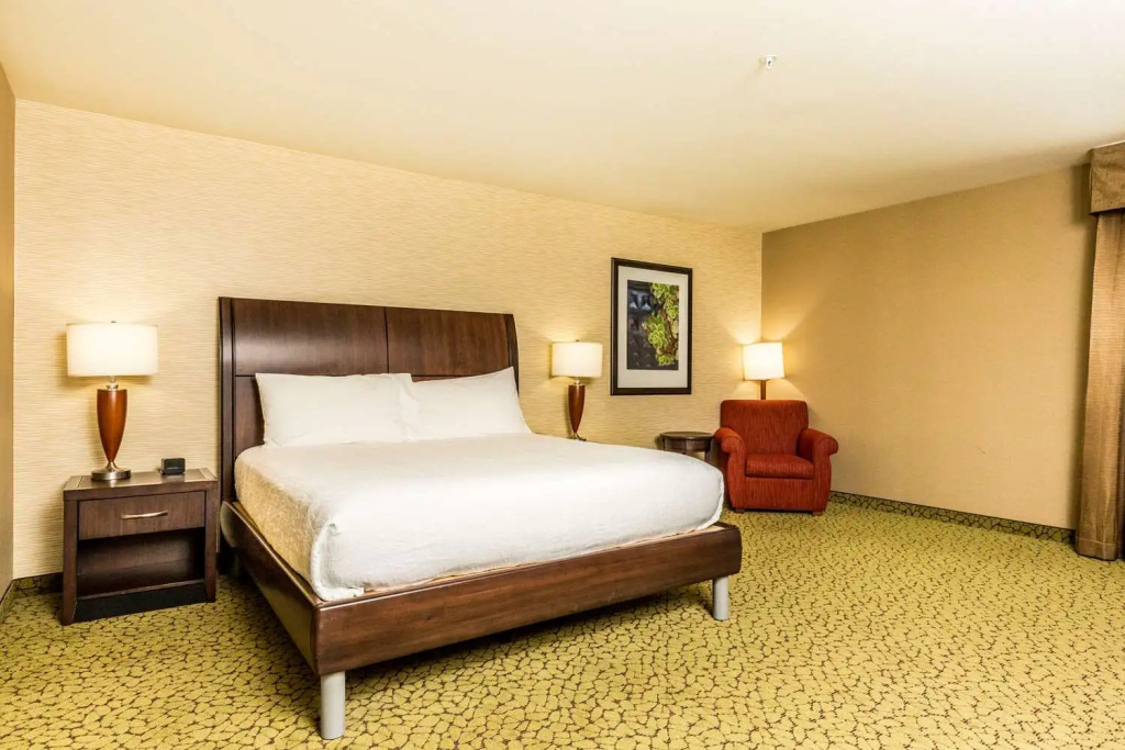 Hilton Garden Inn St. George - Chambres