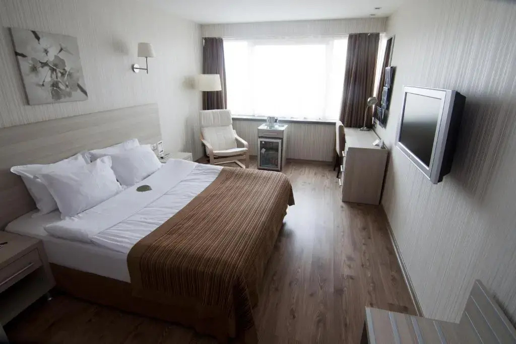 Ramada by Wyndham Ankara - Chambres