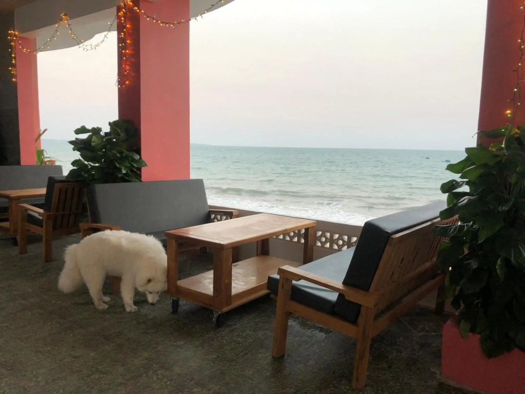Hotel photo 5