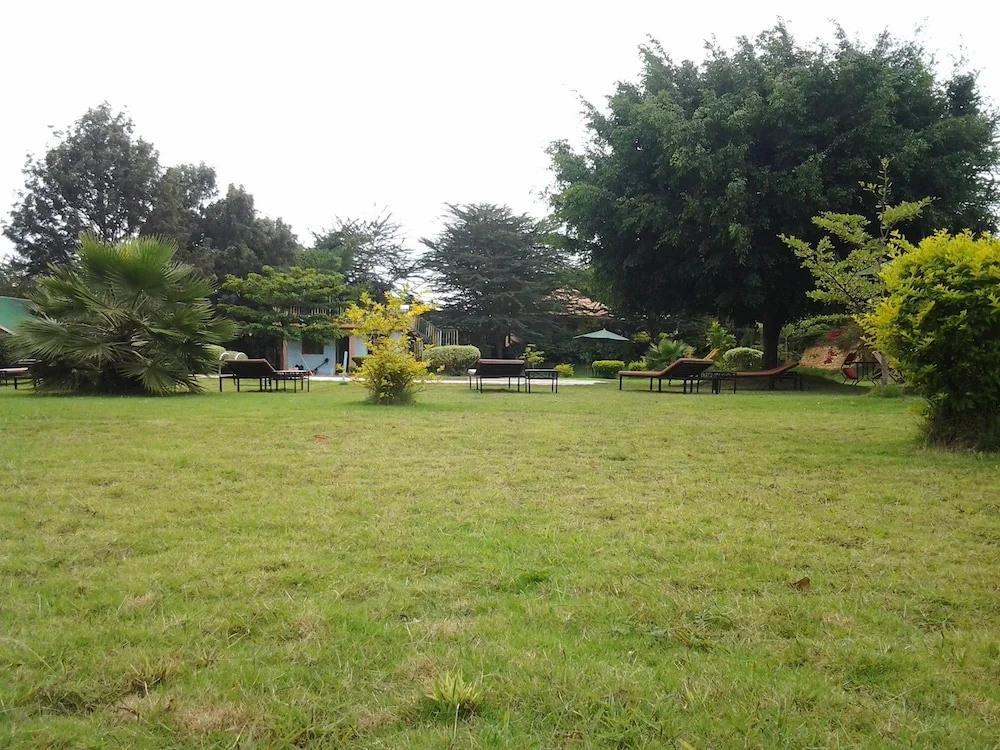 Flamingo Safari Lodge - Général