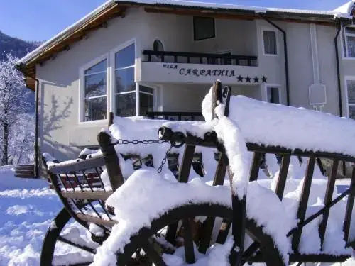 Vila Carpathia - фото 1