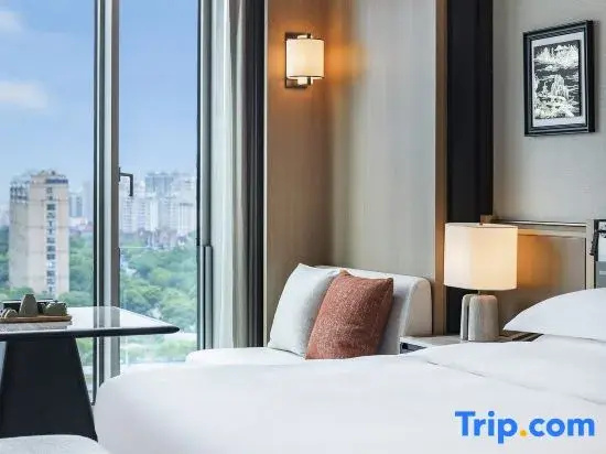 Standard Double room with city view (full double bed)