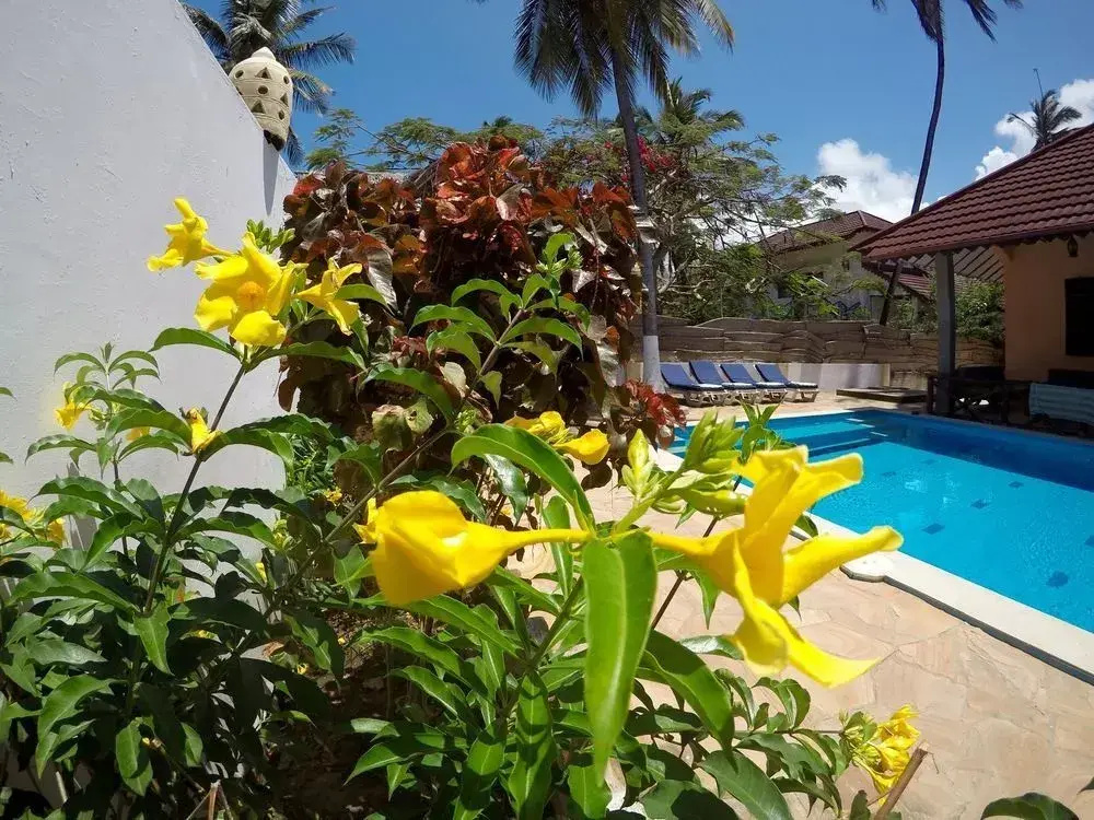 Hakuna Shida Guesthouse - Général