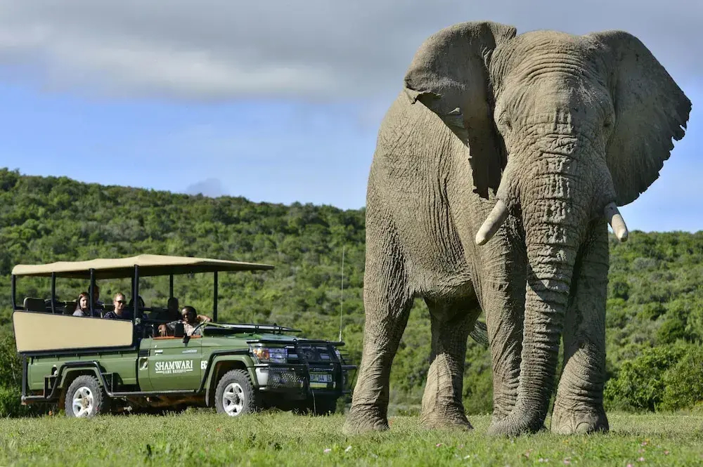 Shamwari Sarili Lodge - фото 5