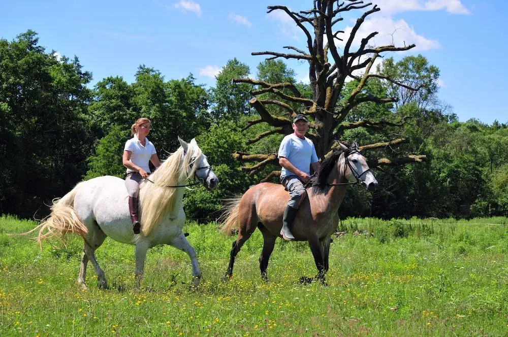 Kerca Bio Farm - фото 32