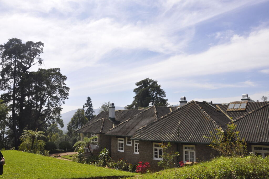 Scottish Planter Glendevon Bungalow