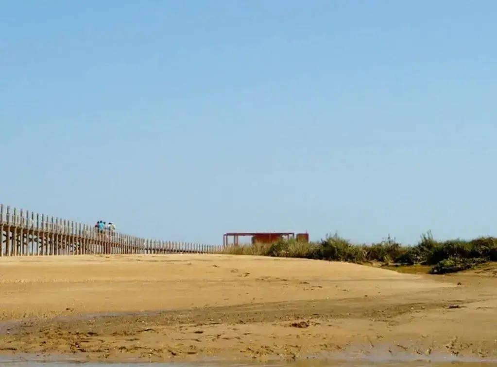Casa Viana - Guesthouse - Général