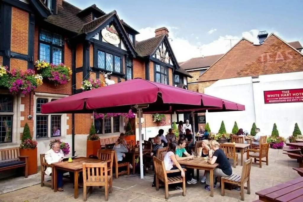 The White Hart Hotel - Général