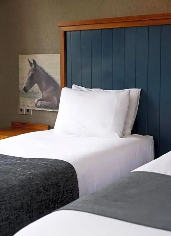 White Rabbit Hotel by Chef and Brewer Collection - Chambres