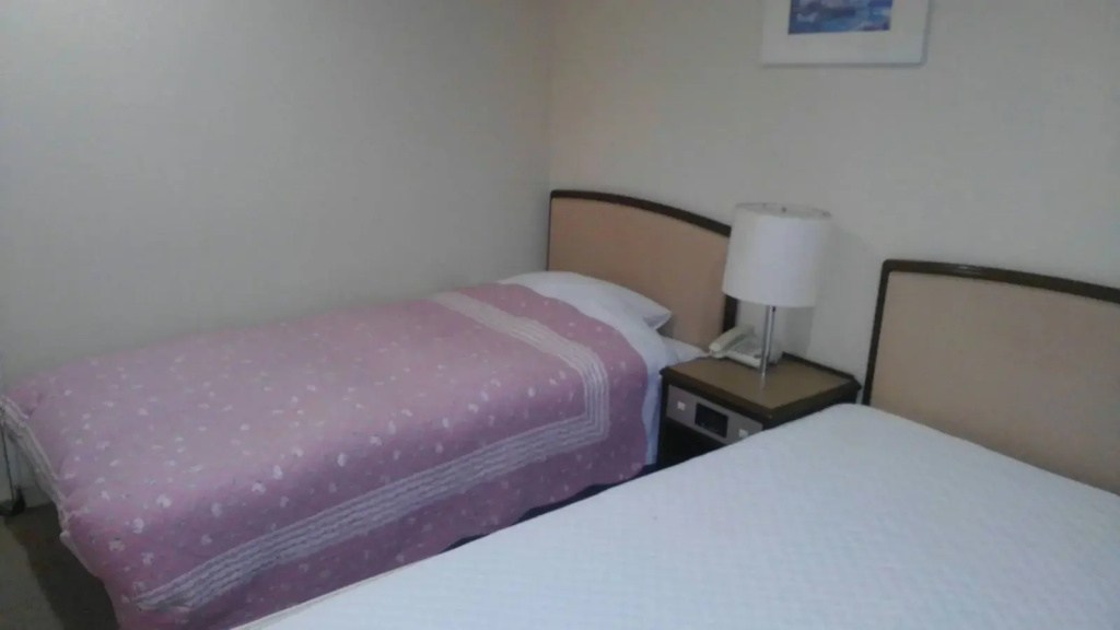 Standard Double room (twin beds)