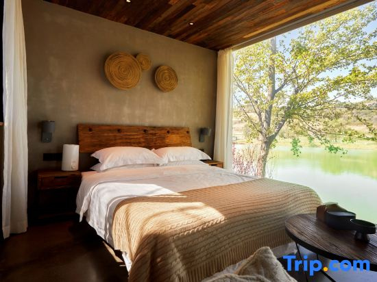 Tigerlily - Chambres
