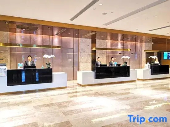 Lobby & Reception