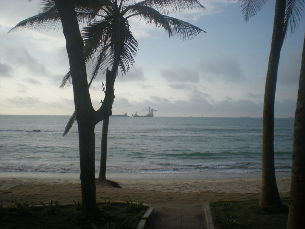 Image 6
