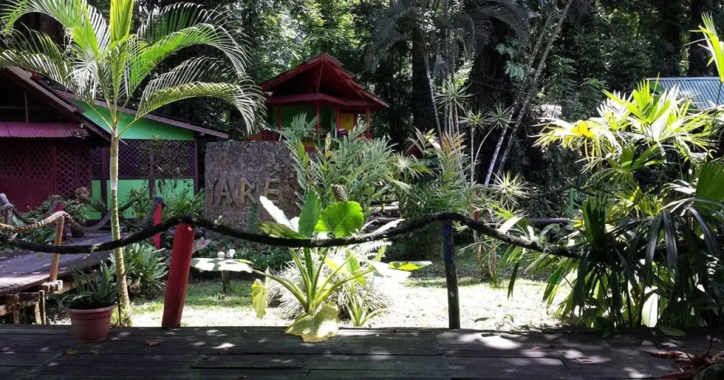 Hotel y Restaurante Yare - Général