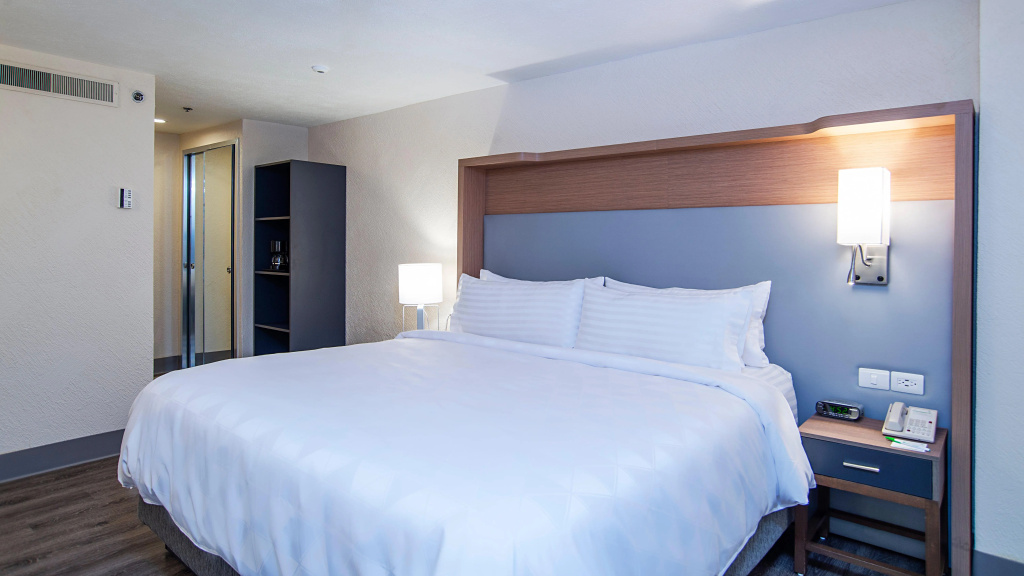 Holiday Inn Mexico Coyoacan - Général