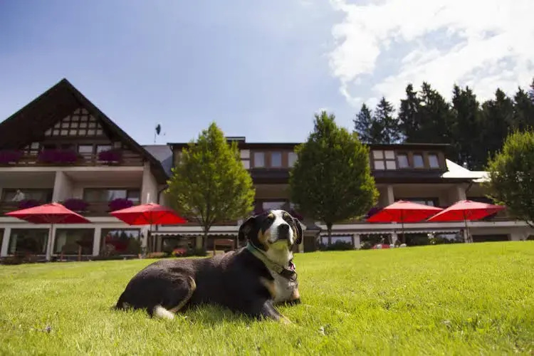 Hotel Kleins Wiese - Général