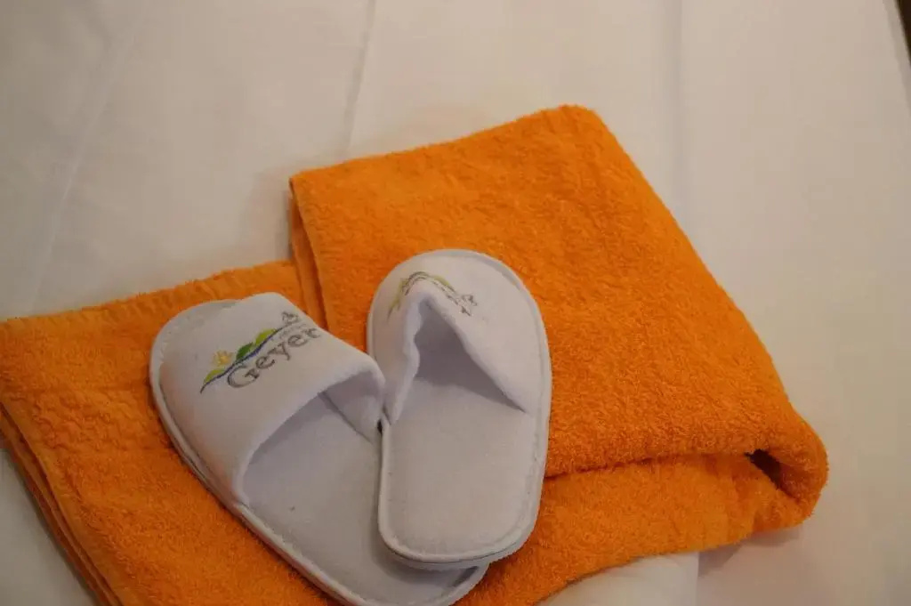 Landhotel Geyer - Chambres