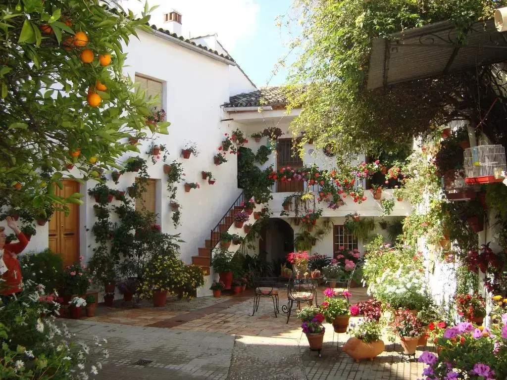 Hotel Mirador de Montoro - Général