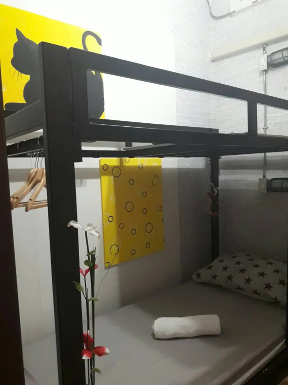 Standard Single room (single bed)