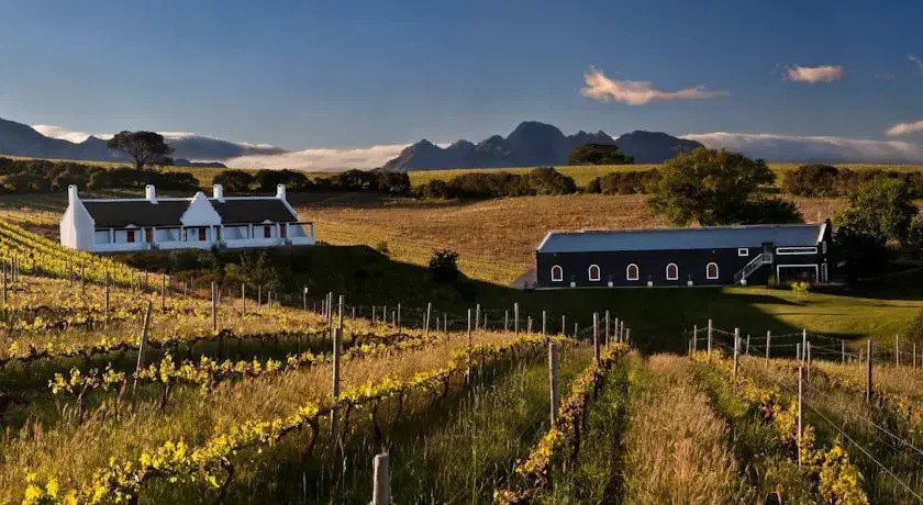 Aaldering Vineyards, Winefarm & Luxury Lodges - фото 3