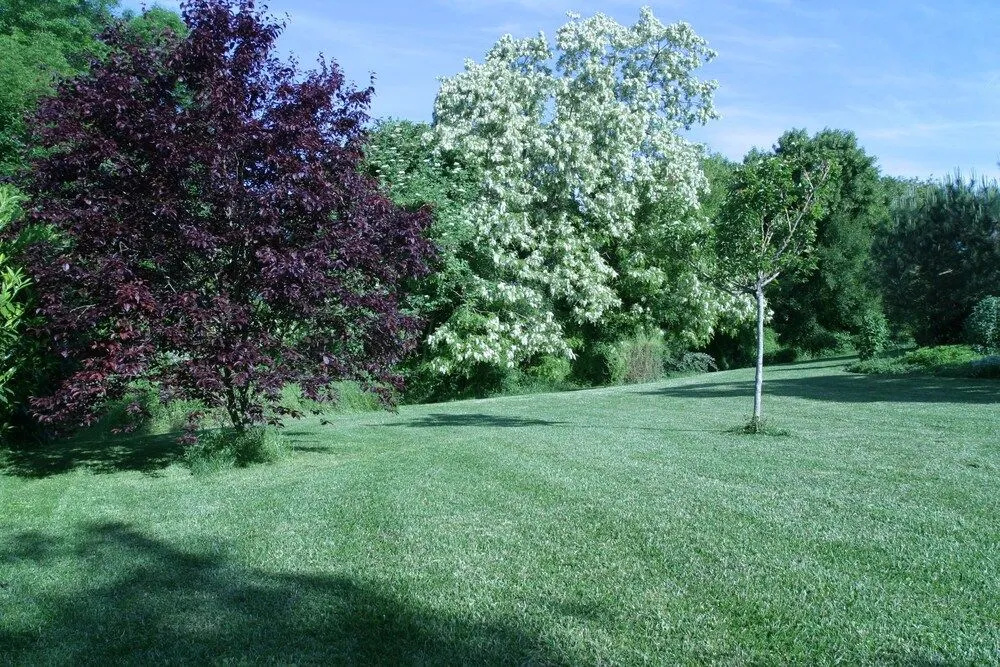 Au Bois des Tilleuls