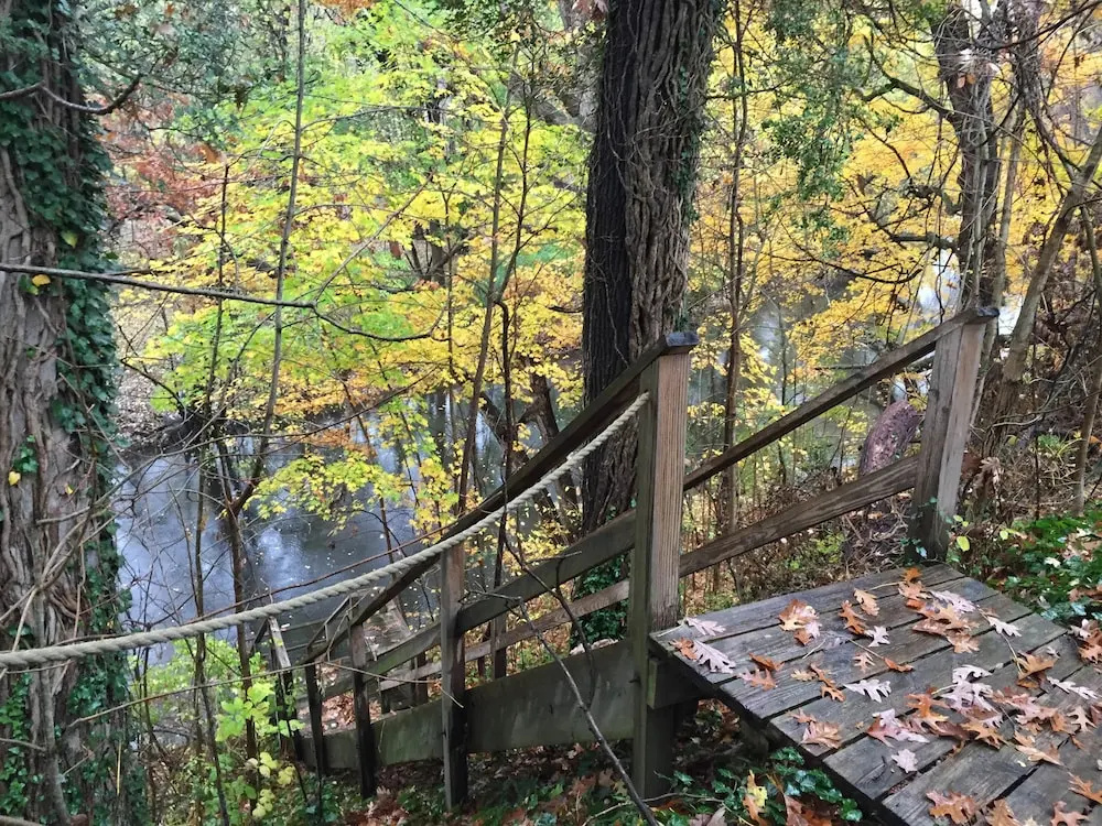 Goldberry Woods