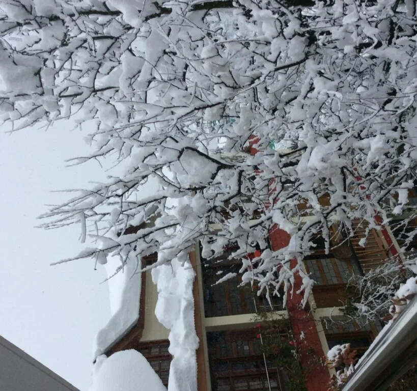 Purnima guest house Manali
