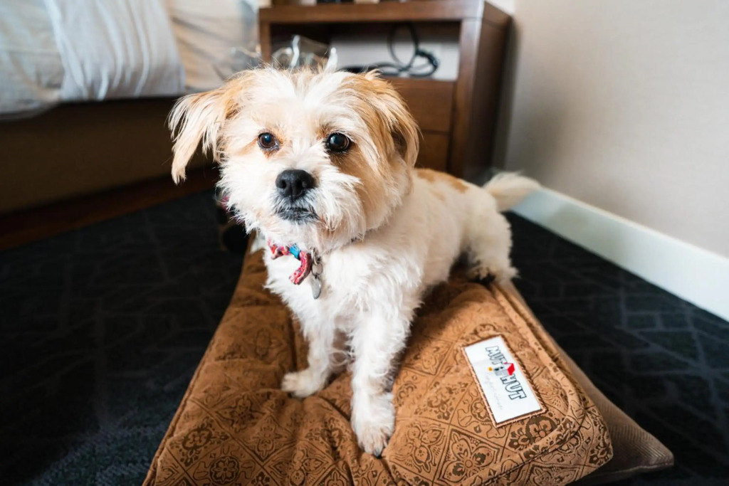 The Malcolm Hotel - фото 36