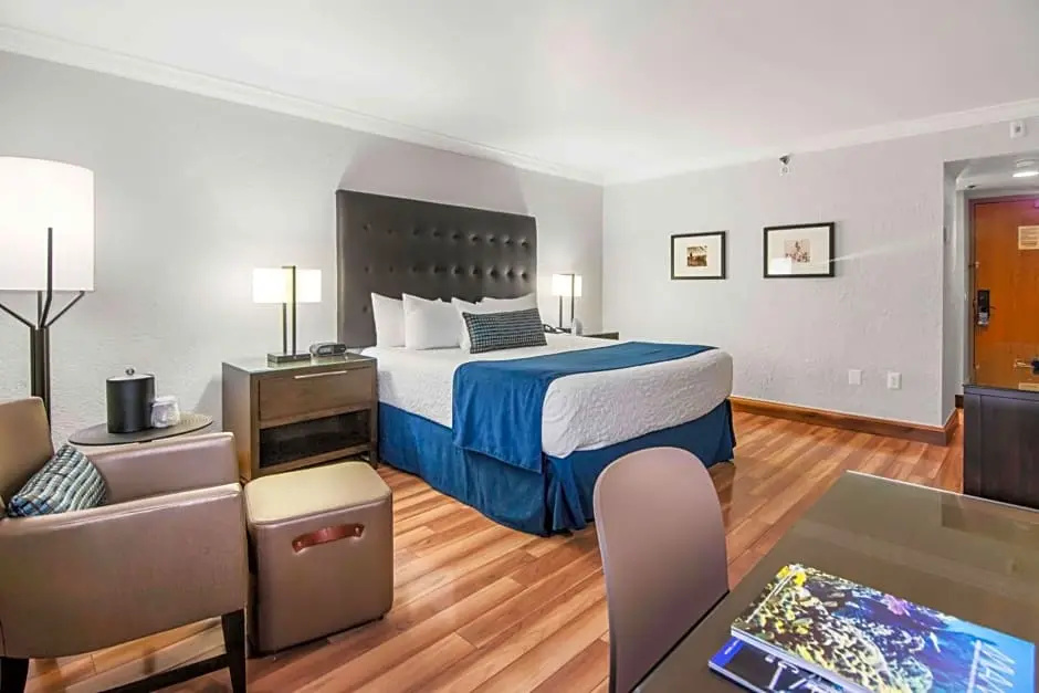 Miami Lakes Hotel - Chambres