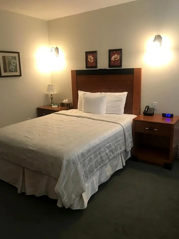 Double Suite (full double bed)