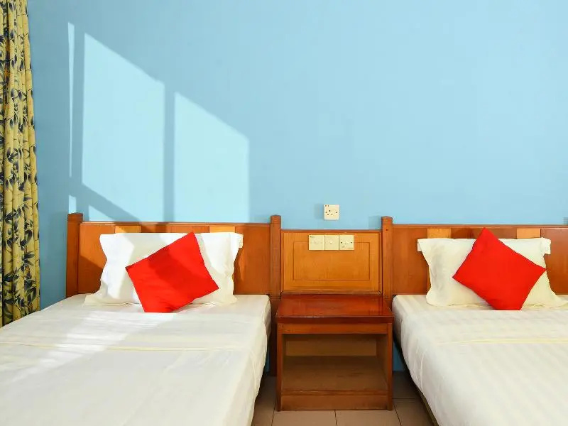 Deluxe Double room (twin beds)