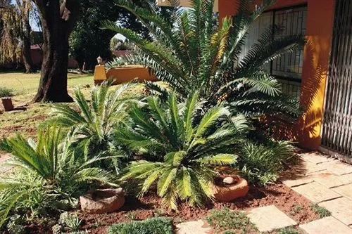 Nomndeni Lodge Zamabhele - Général