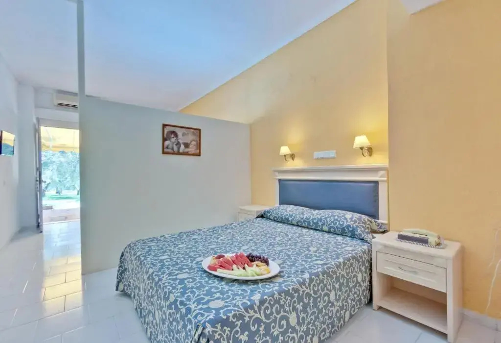 Standard Family Basement room