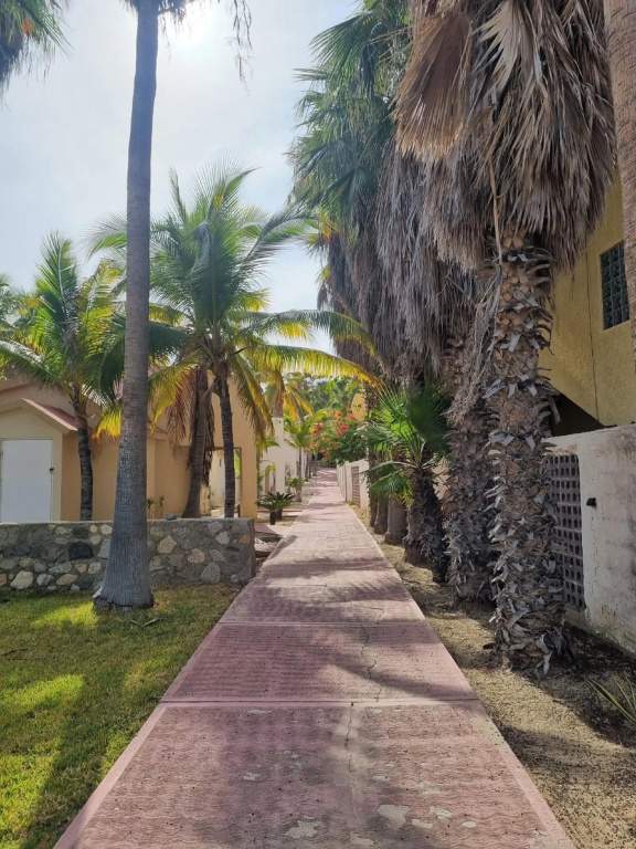 Buena Vista Oceanfront & Hot Springs Resort - Général