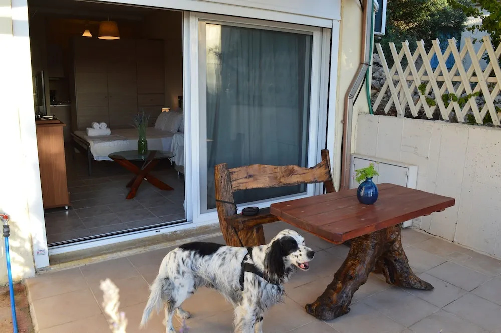 Best House Petit Pylos Messinias