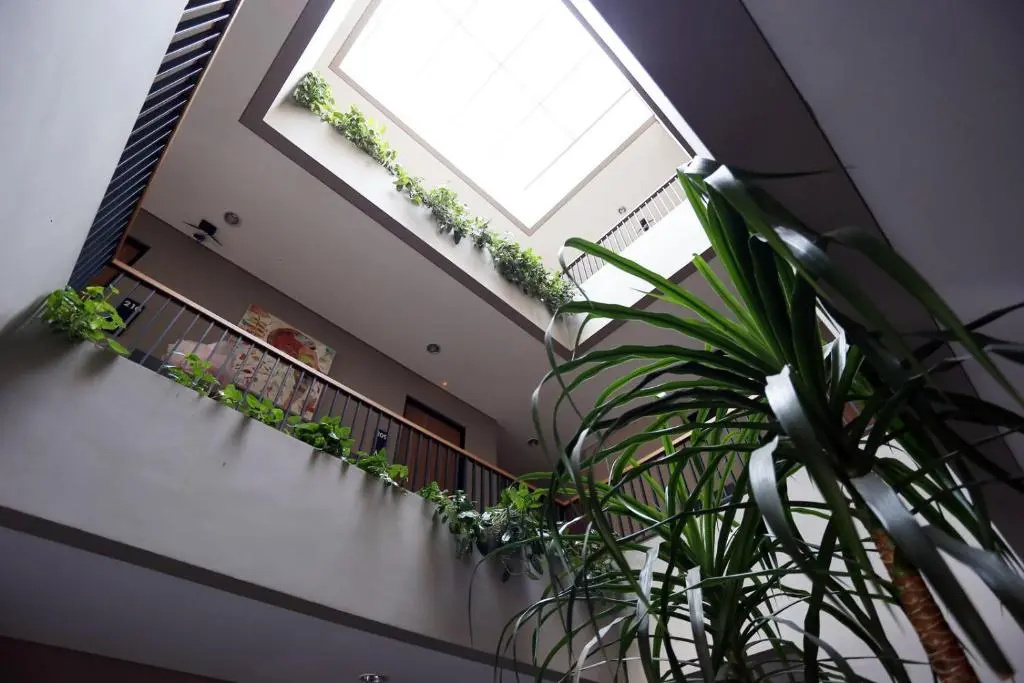 Hotel photo 8