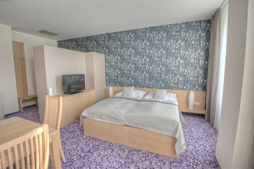 Hotel Vinice Hnanice