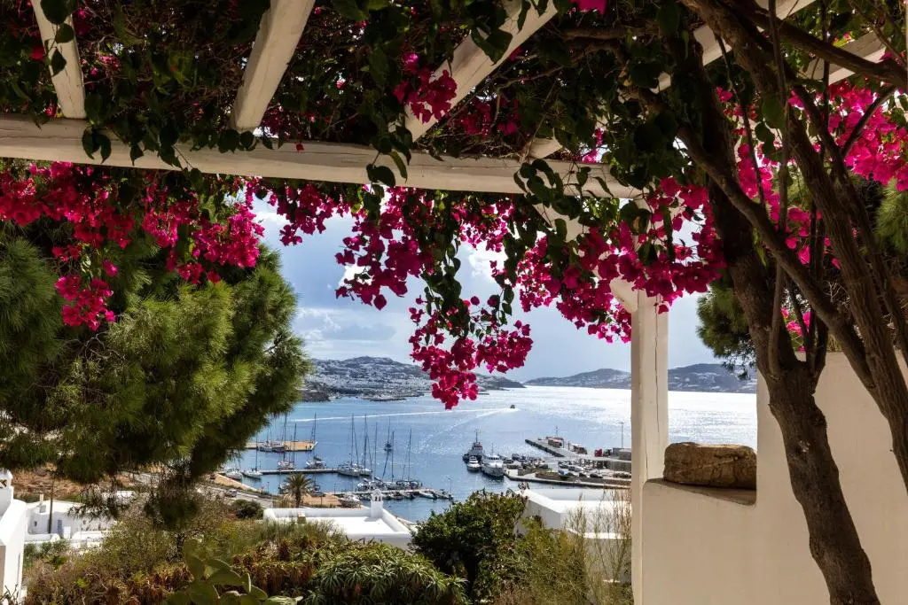 Rhenia Mykonos - Chambres
