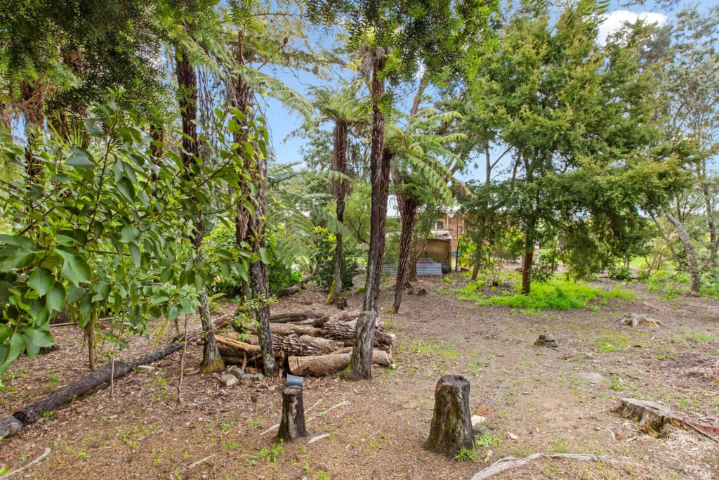 Bay Vista Views - Raglan Holiday Home