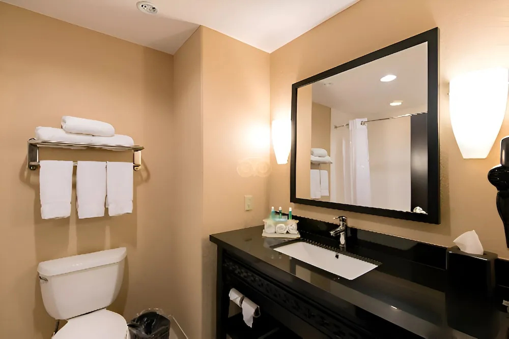 Comfort Inn & Suites Dallas Medical - Market Center - Chambres